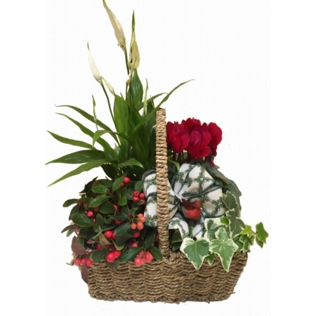 Merry Christmas Planted Basket