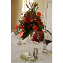Lily, germini, carnation, tulip, mimosa, hypericum and wax flower with mixed foliage.