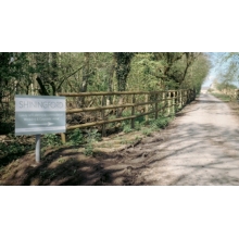 The Lane to Shiningford Farm