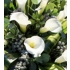 Calla Lily Double Ended Spray