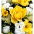 Yellow and White Posy Pad