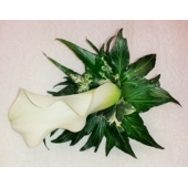 Calla lily with ivy leaves.