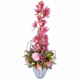 Regal Orchid Arrangement